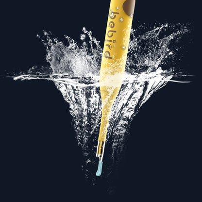 Smart Visual Wireless Ear Endoscope